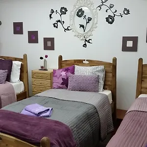 https://turkish-style-hostel.hotels-lisbon-portugal.com